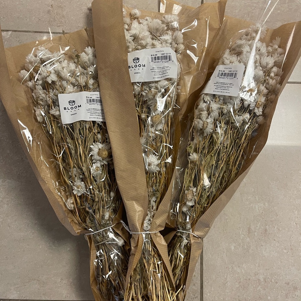 Bloom Dried Daisies Flower Bouquets